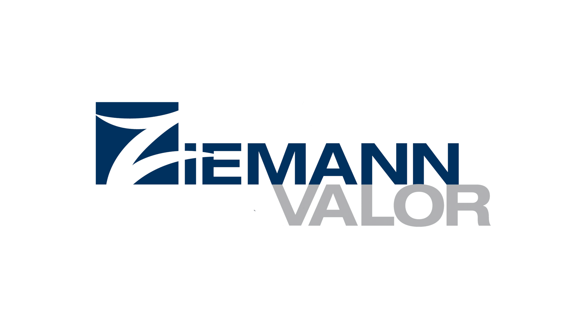 Logo von Ziemann Valor