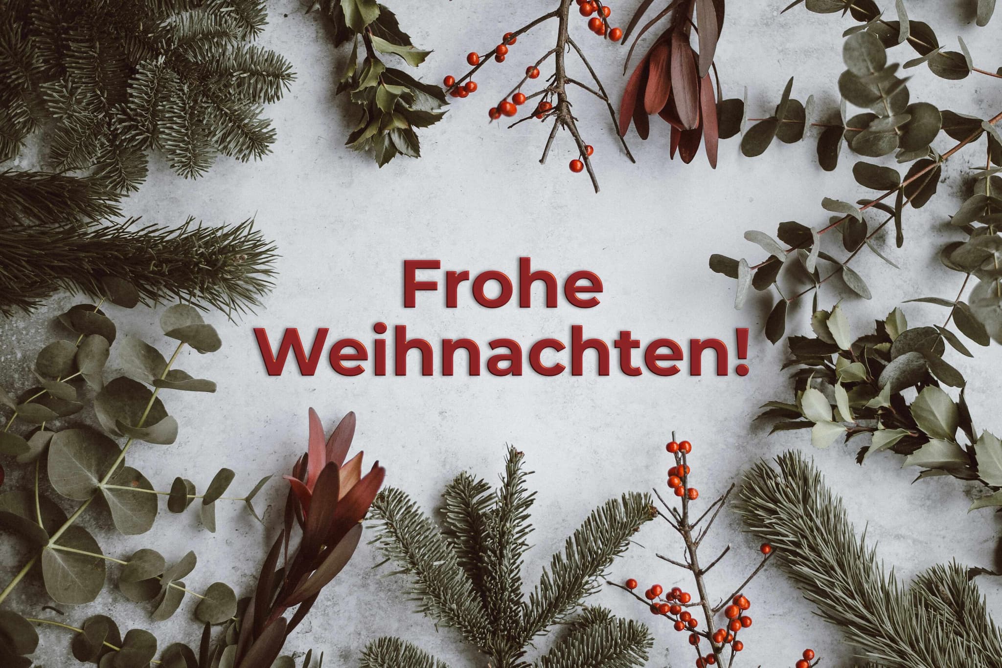Eukalyptus- und Nadelbaumzweige mit roten Beeren, kombiniert mit dem Schriftzug "Frohe Weihnachten!"